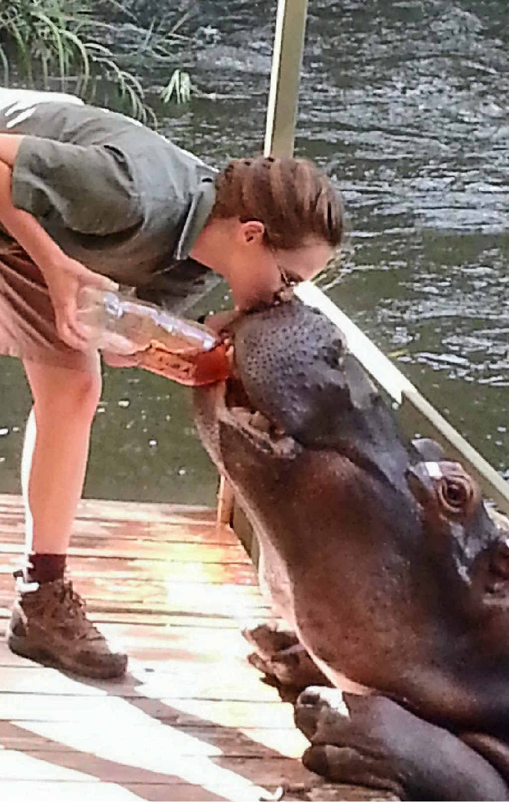 PUCKER UP: Toowoomba teenager Gabrielle Painter kisses Jessica the Hippo on a farm near Hoedspruit in South Africa. PUCKER UP: Toowoomba teenager Gabrielle Painter kisses Jessica the Hippo on a farm near Hoedspruit in South Africa.