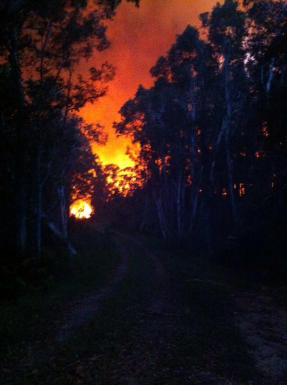 An image of the fire north of Lennox Head from the NSW RFS Facebook page. An image of the fire north of Lennox Head from the NSW RFS Facebook page.