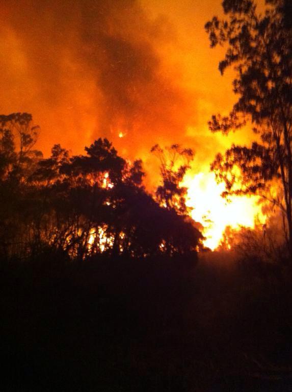 An image of the fire from the NSW Rural Fire Service Facebook page. An image of the fire from the NSW Rural Fire Service Facebook page.
