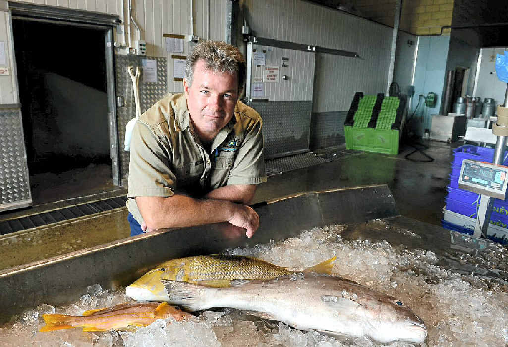 DEEPLY CONCERNED: Ballina fisherman Dallas Johnson is worried about the future of fishing in NSW. DEEPLY CONCERNED: Ballina fisherman Dallas Johnson is worried about the future of fishing in NSW.