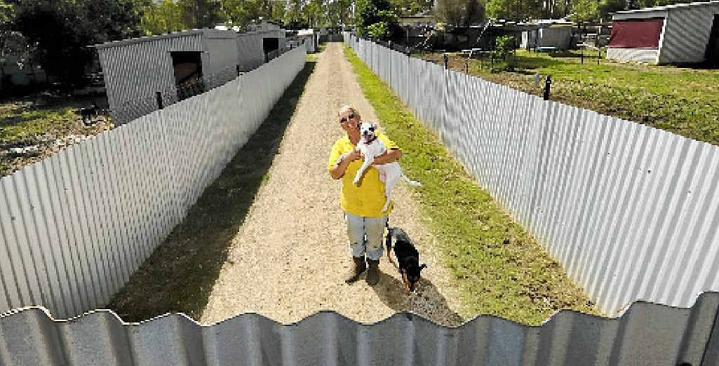 SALLY Rogers, of Happy Paws Haven at Eatonsville, with the new galvanised fencing she has around the property. SALLY Rogers, of Happy Paws Haven at Eatonsville, with the new galvanised fencing she has around the property.