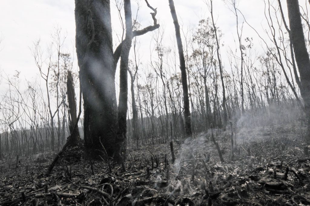 Lennox Head Bush Fire Tuesday. Photo Doug Eaton / The Northern Star Lennox Head Bush Fire Tuesday. Photo Doug Eaton / The Northern Star