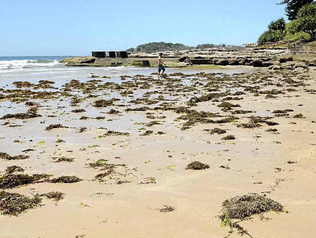 Yamba’s Main Beach Yamba’s Main Beach