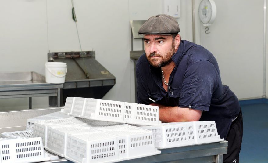 Hervey Bay Fisheries owner Simon Whittingham has closed the business. Hervey Bay Fisheries owner Simon Whittingham has closed the business.