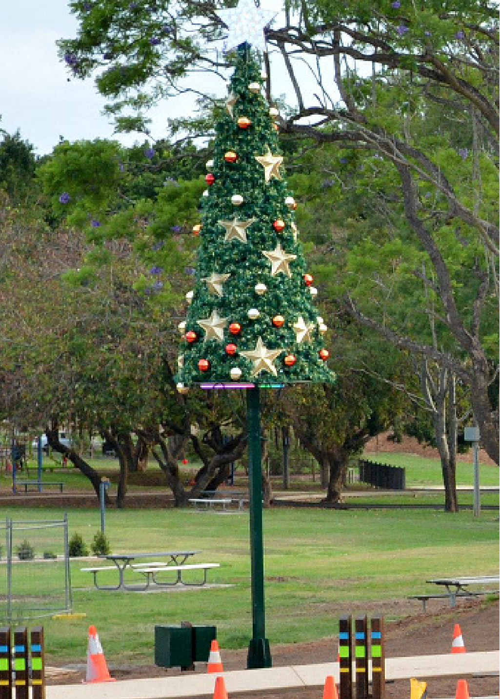 LONELY: Gympie’s Christmas tree at its new home near the Monkland St roundabout. LONELY: Gympie’s Christmas tree at its new home near the Monkland St roundabout.