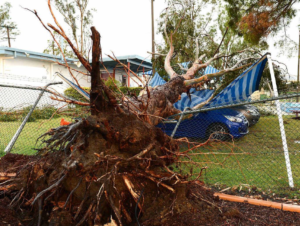 CRASH: A tree was uprooted onto cars at the Rosewood pool during yesterday afternoon’s violent storm. CRASH: A tree was uprooted onto cars at the Rosewood pool during yesterday afternoon’s violent storm.