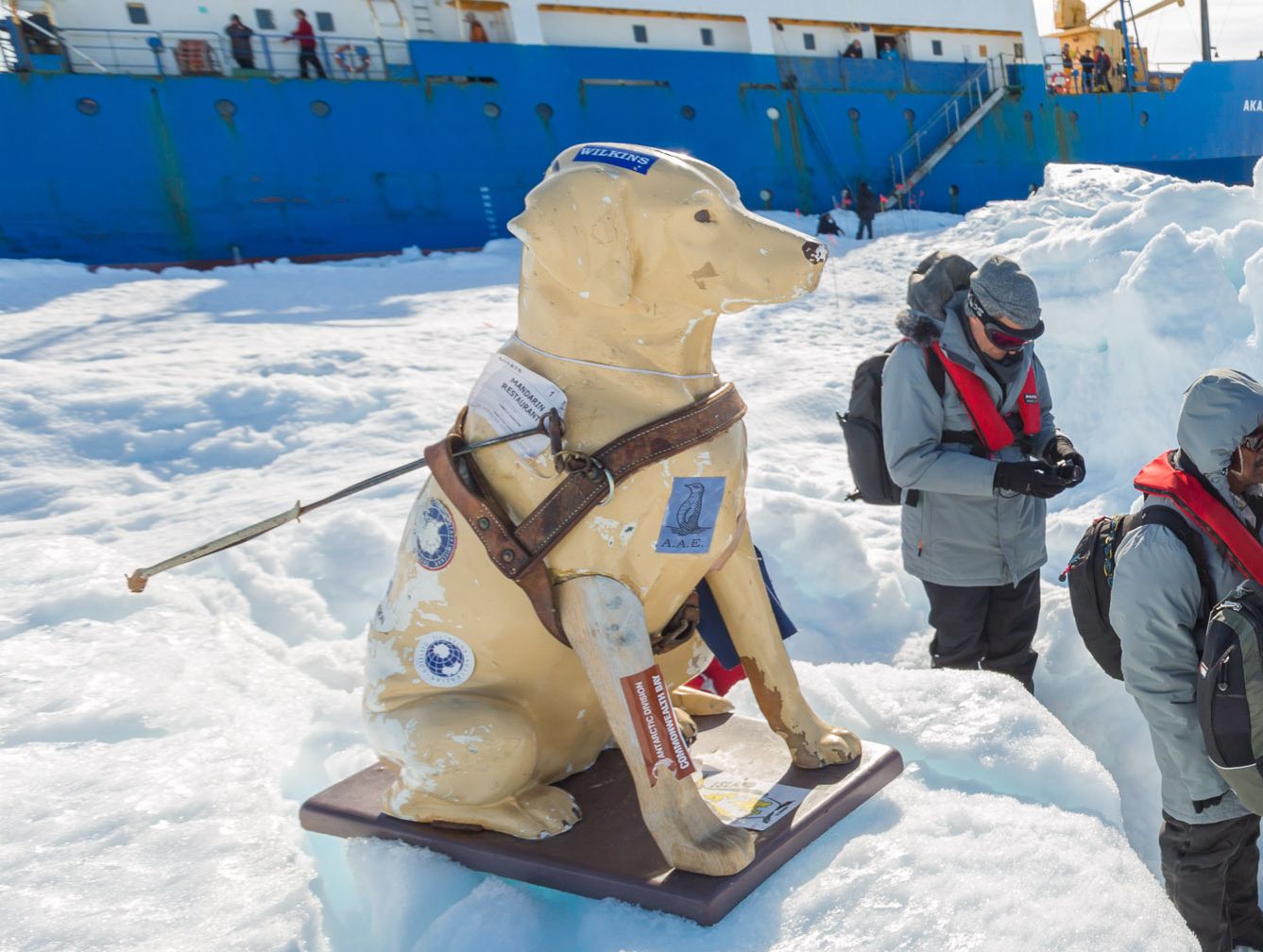 Stay pictured waiting for rescue in Antarctica
Stay pictured waiting for rescue in Antarctica