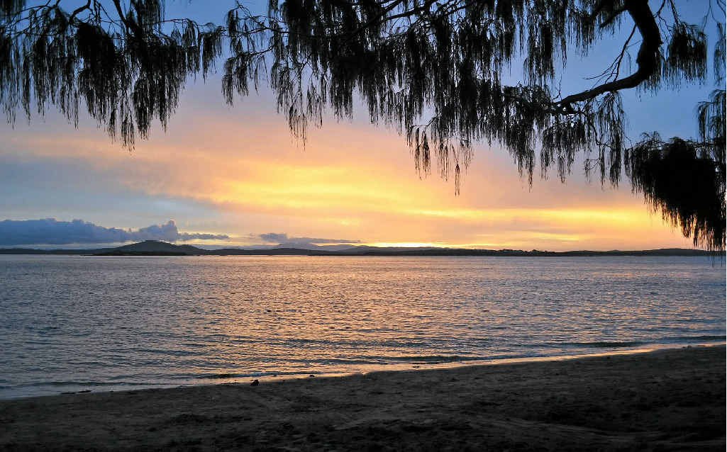 Camping at The Oaks overlooking Curtis Island. Camping at The Oaks overlooking Curtis Island.