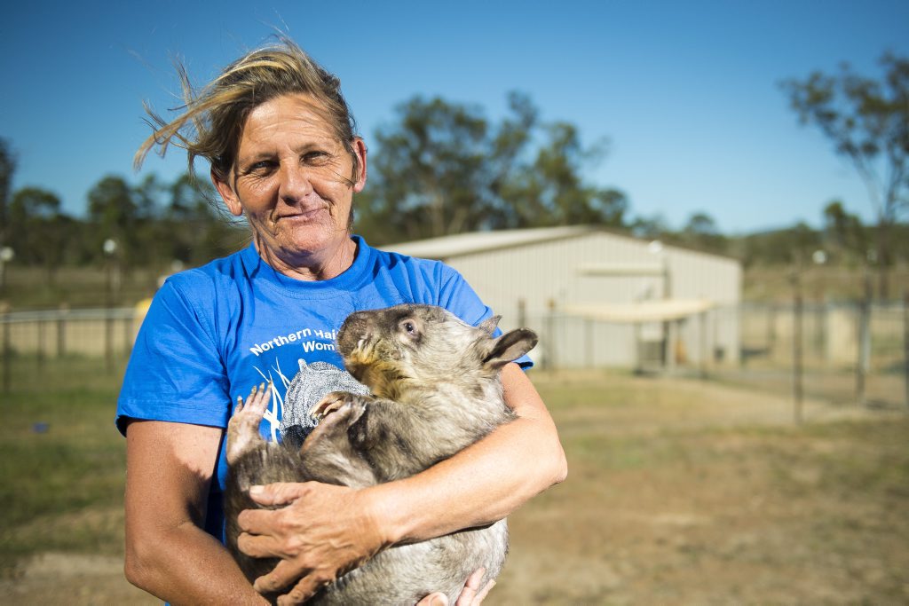 Tina and Peter founded the program 10 years ago under Australian Animal Care and Education. Tina and Peter founded the program 10 years ago under Australian Animal Care and Education.