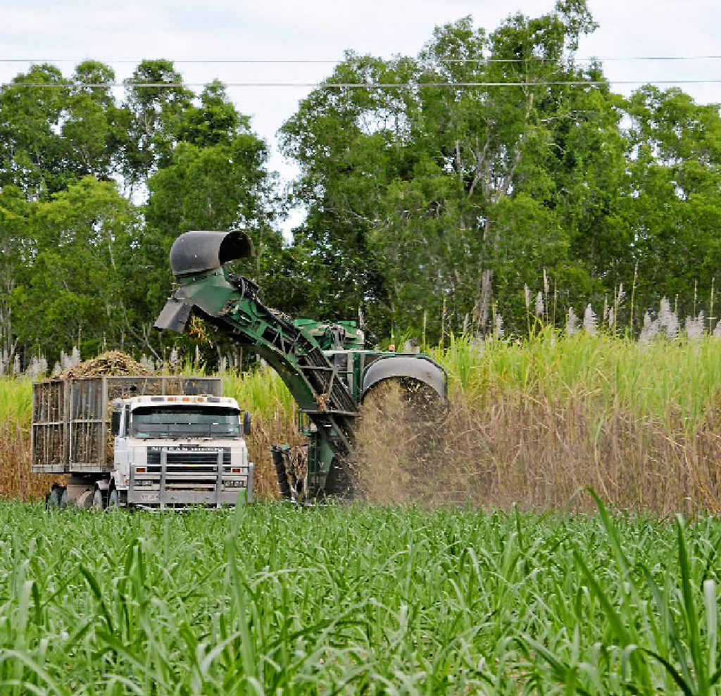 Sugar misses out in Trans Pacific Partnership deal Sugar misses out in Trans Pacific Partnership deal