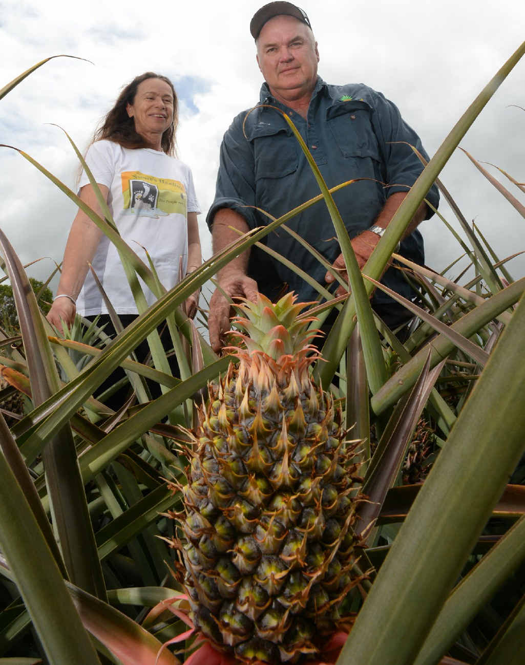 Bungundarra pineapple farmers Eliane Barben and Barry Brooks have found pineapples are not just sweet treats. Bungundarra pineapple farmers Eliane Barben and Barry Brooks have found pineapples are not just sweet treats.