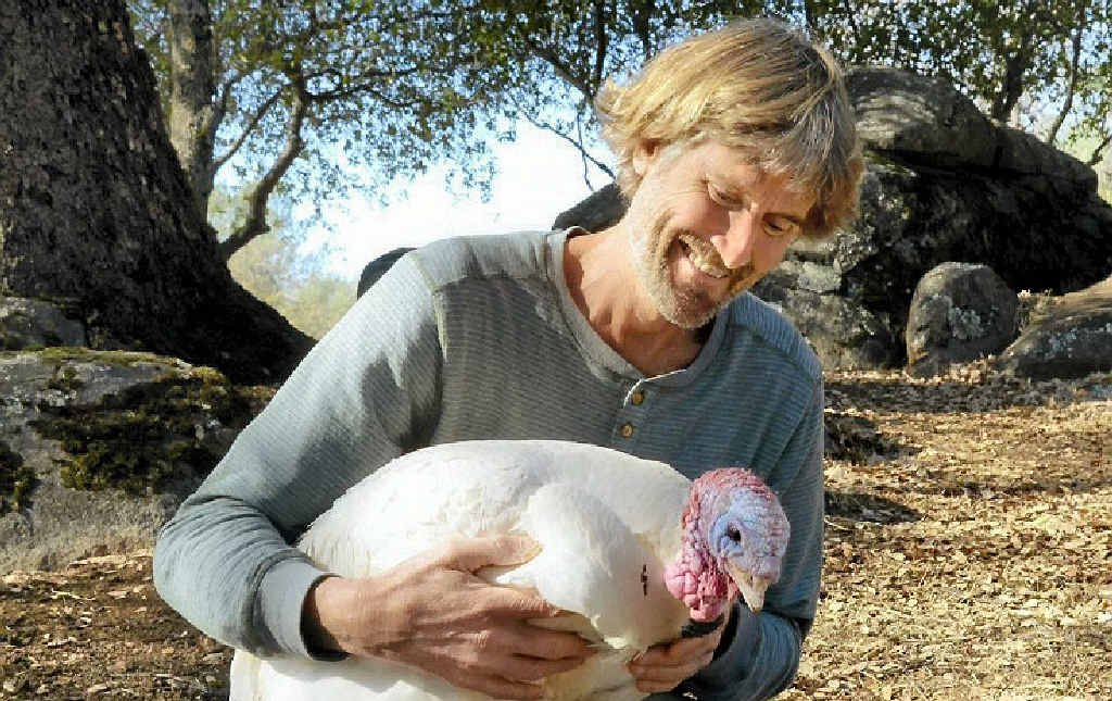 ETHICAL EATING: Dr Will Tuttle will visit Toowoomba to talk about how our culture’s mistreatment of animals can affect us all. ETHICAL EATING: Dr Will Tuttle will visit Toowoomba to talk about how our culture’s mistreatment of animals can affect us all.