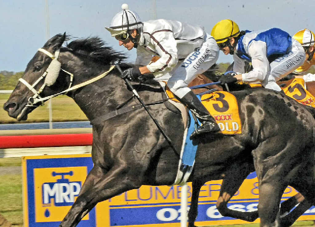 HANDS AND HEELS: Glen Colless (nearest camera) closes on the finish line aboard Spatha in this year’s $30,000 Iris Nielsen Open Hcp. HANDS AND HEELS: Glen Colless (nearest camera) closes on the finish line aboard Spatha in this year’s $30,000 Iris Nielsen Open Hcp.