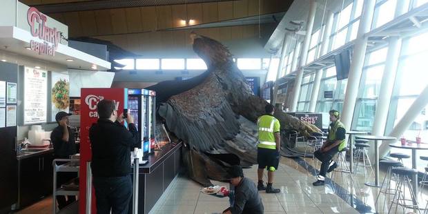 The giant eagle hanging from the roof of Wellington airport to promote the Hobbit trilogy has fallen down due to the shake. The giant eagle hanging from the roof of Wellington airport to promote the Hobbit trilogy has fallen down due to the shake.