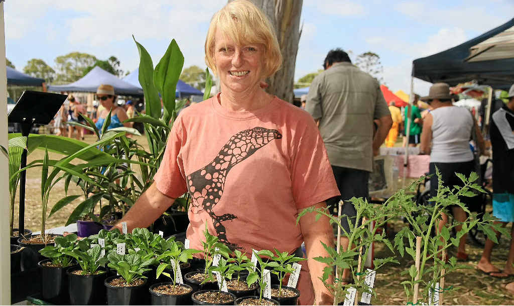 SIGN ME UP: Helen Robertson at Iluka Markets with her heritage vegetable seedlings. SIGN ME UP: Helen Robertson at Iluka Markets with her heritage vegetable seedlings.