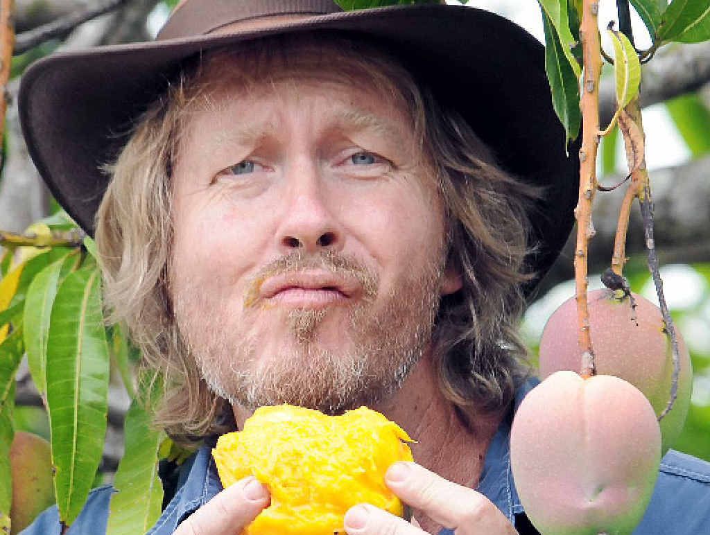 MANGO HEAVEN: Green thumb Phil Dudman tucks into one one of this season’s mangoes. While home growers have had a bumper crop this year, hail has hampered commercial mango producers. MANGO HEAVEN: Green thumb Phil Dudman tucks into one one of this season’s mangoes. While home growers have had a bumper crop this year, hail has hampered commercial mango producers.