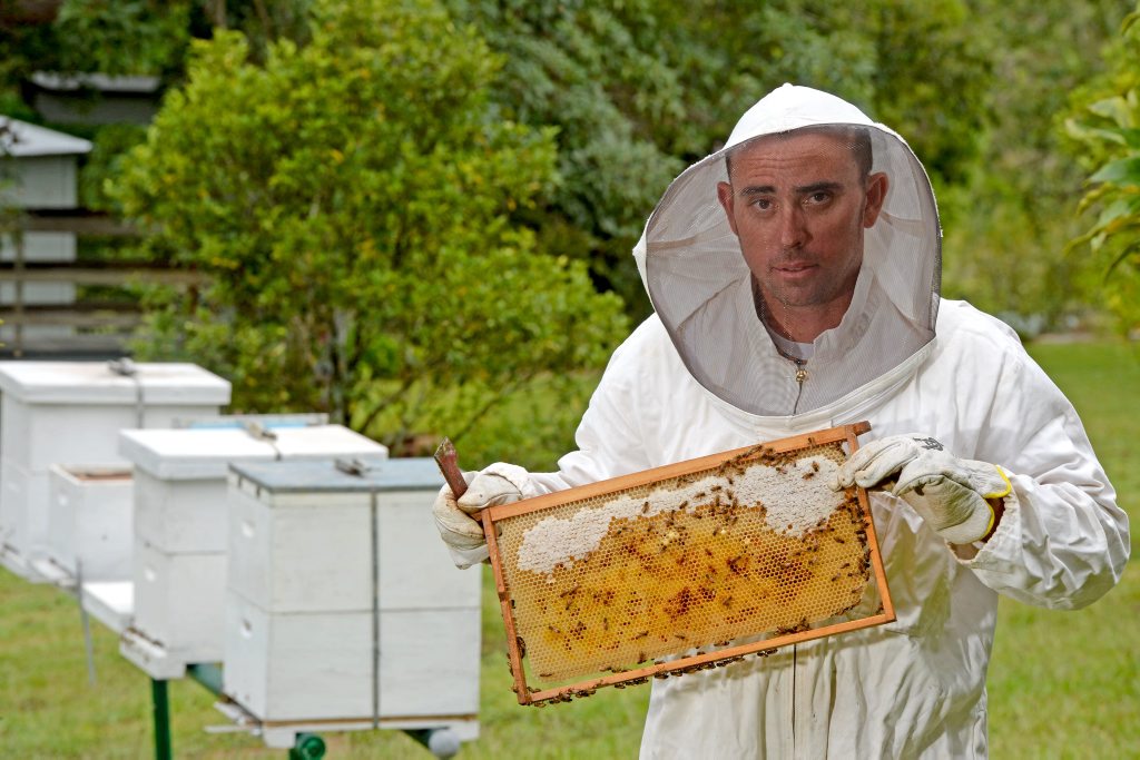 Luke Page with some of his Bee's outside of Murwillumbah. Luke Page with some of his Bee's outside of Murwillumbah.