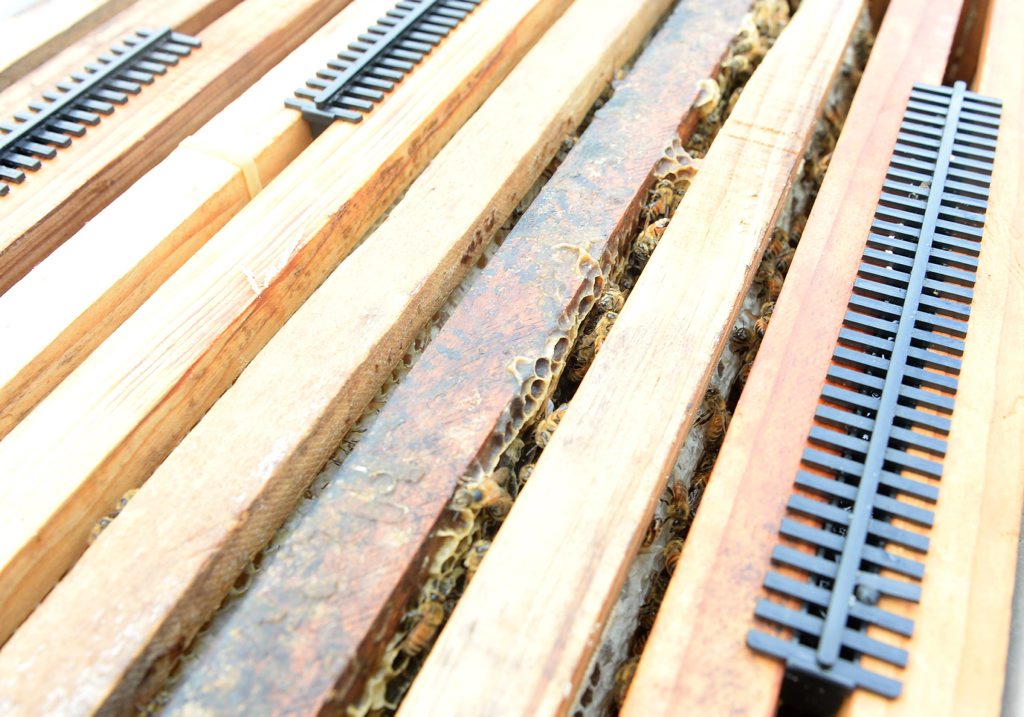 Black beetle traps set inside Mr Page's hives. Black beetle traps set inside Mr Page's hives.