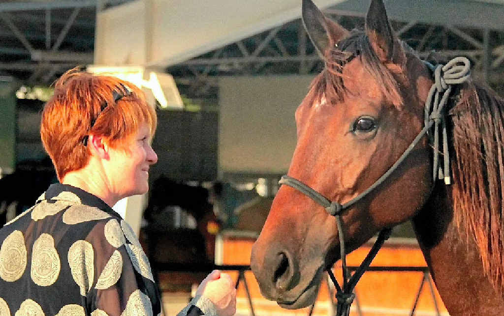 MAJESTIC MOMENT: Jesse Blackadder with the brumby mare Timana at the Seih Al Salam Stables in Dubai. Jesse has a new novel out entitled Paruku The Desert Brumby. MAJESTIC MOMENT: Jesse Blackadder with the brumby mare Timana at the Seih Al Salam Stables in Dubai. Jesse has a new novel out entitled Paruku The Desert Brumby.