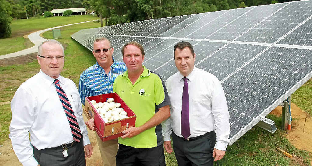 SOLAR MUSHROOMS: Inspecting Chevallum growers SJW Mushrooms new solar power installation are (from left) Sunshine Coast Mayor Mark Jamieson, Bruce Jones-Walker from installer MaxiSolar, Steven Willemse from SJW Mushrooms and State Member for Glass House Andrew Powell. SOLAR MUSHROOMS: Inspecting Chevallum growers SJW Mushrooms new solar power installation are (from left) Sunshine Coast Mayor Mark Jamieson, Bruce Jones-Walker from installer MaxiSolar, Steven Willemse from SJW Mushrooms and State Member for Glass House Andrew Powell.