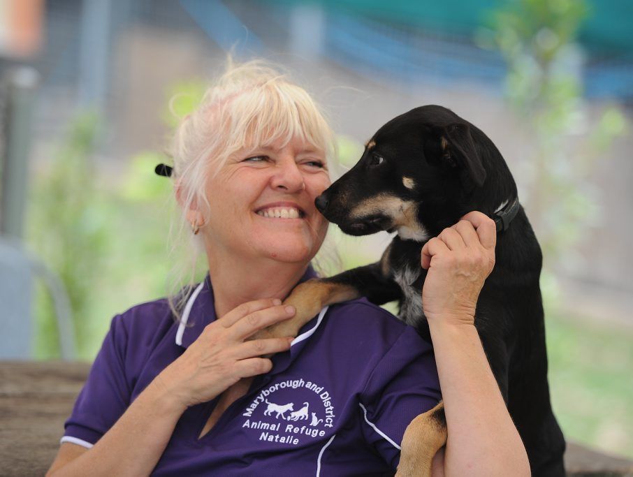 Business acumen needed by M'boro animal refuge