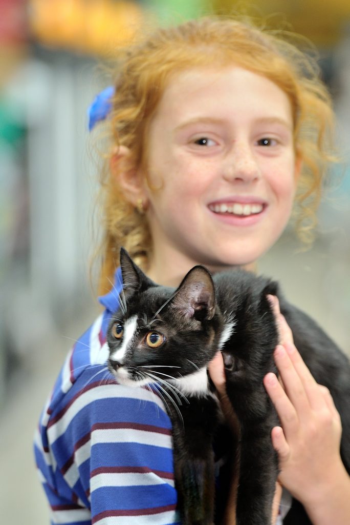 PICK ME: Friends of the RSPCA rescue kitten Beejay snuggles with Emily Krueger, 10. PICK ME: Friends of the RSPCA rescue kitten Beejay snuggles with Emily Krueger, 10.