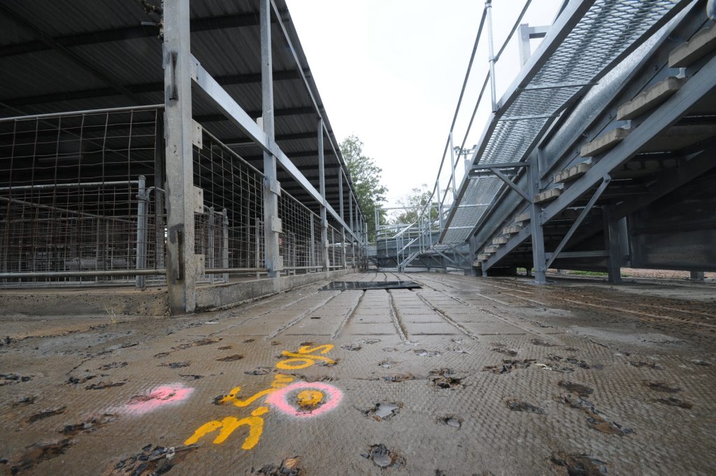 Casino Cattle Yards. Casino Cattle Yards.