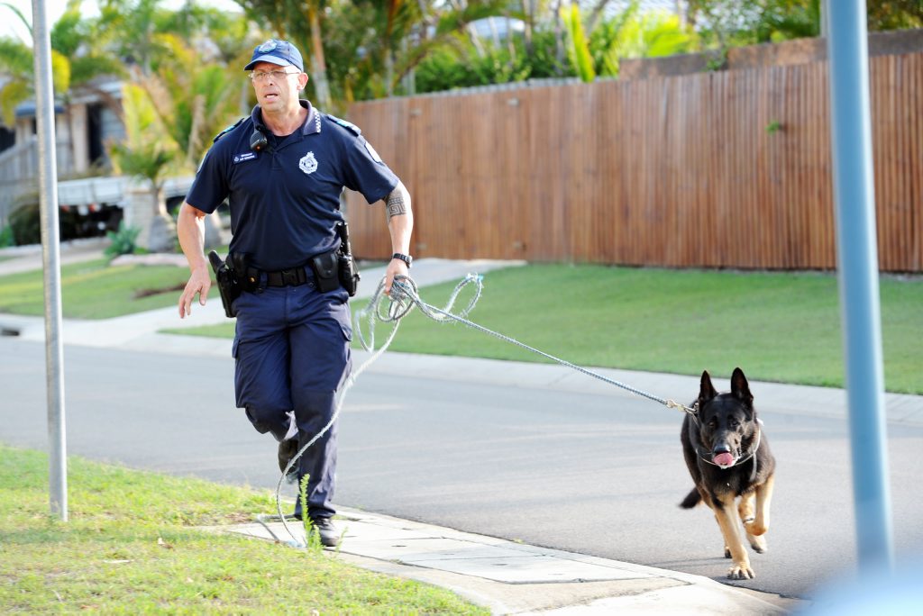 Police dog generic photograph. Police dog generic photograph.