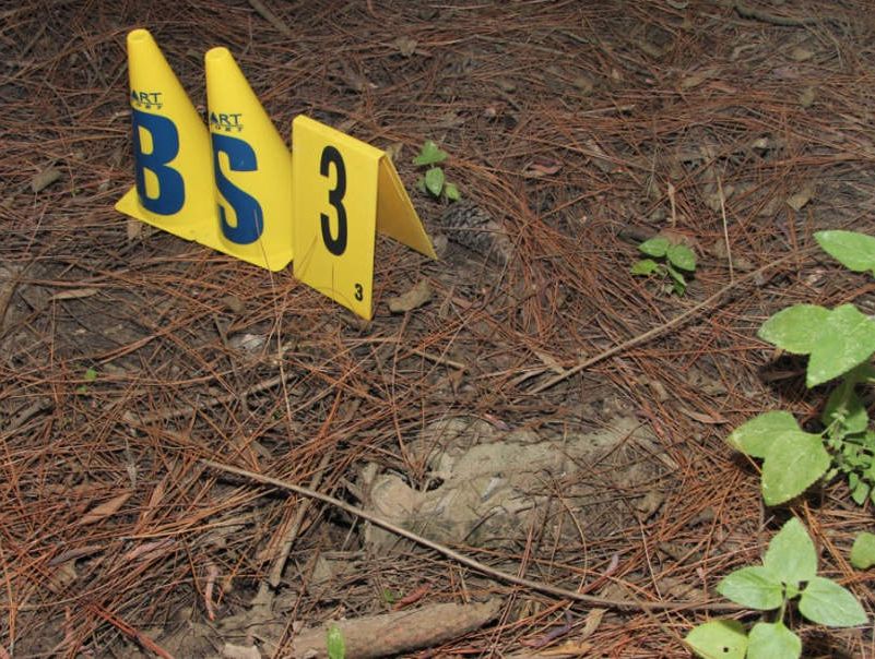 A photo submitted as evidence in court showing where Daniel Morcombe's shoe was allegedly found in the Glasshouse Mountains area. A photo submitted as evidence in court showing where Daniel Morcombe's shoe was allegedly found in the Glasshouse Mountains area.