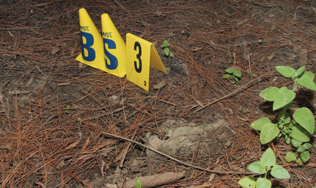 A photo submitted as evidence in court showing where Daniel Morcombe's shoe was allegedly found in the Glasshouse Mountains area. A photo submitted as evidence in court showing where Daniel Morcombe's shoe was allegedly found in the Glasshouse Mountains area.