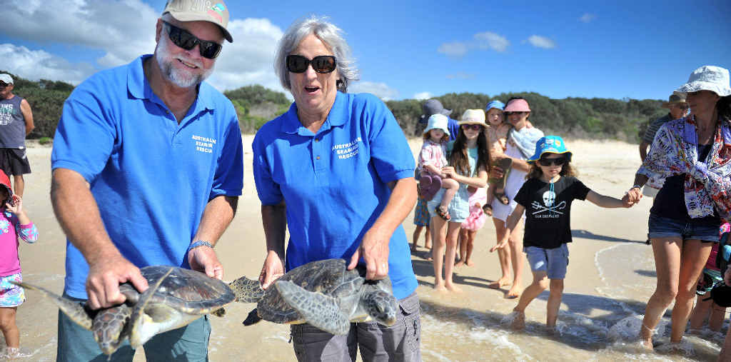 BACK YOU GO: Quianna and Andy, two green sea turtles, are released at Flat Rock by Australian Seabird Rescue volunteers. Paul is releasing Quianna and Emmy is releasing Andy.