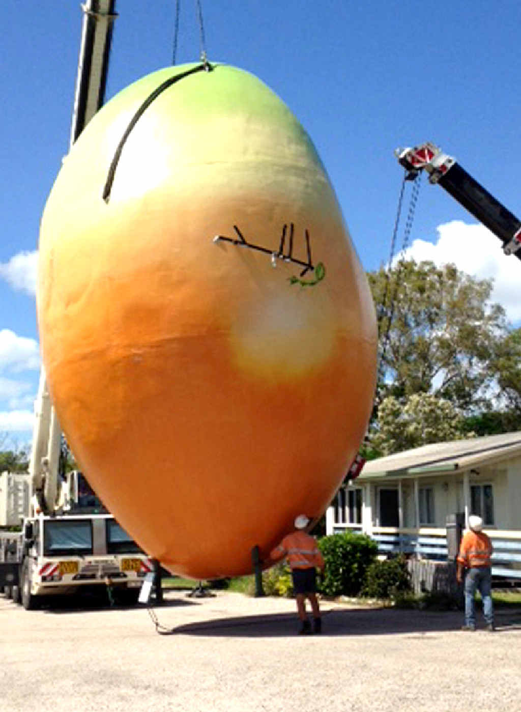 A crane puts Bowen’s Big Mango back into place. It went missing earlier this week as part of a publicity stunt by fast-food chain Nando’s. A crane puts Bowen’s Big Mango back into place. It went missing earlier this week as part of a publicity stunt by fast-food chain Nando’s.