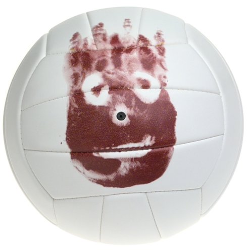 A replica of Wilson from the movie Cast Away.