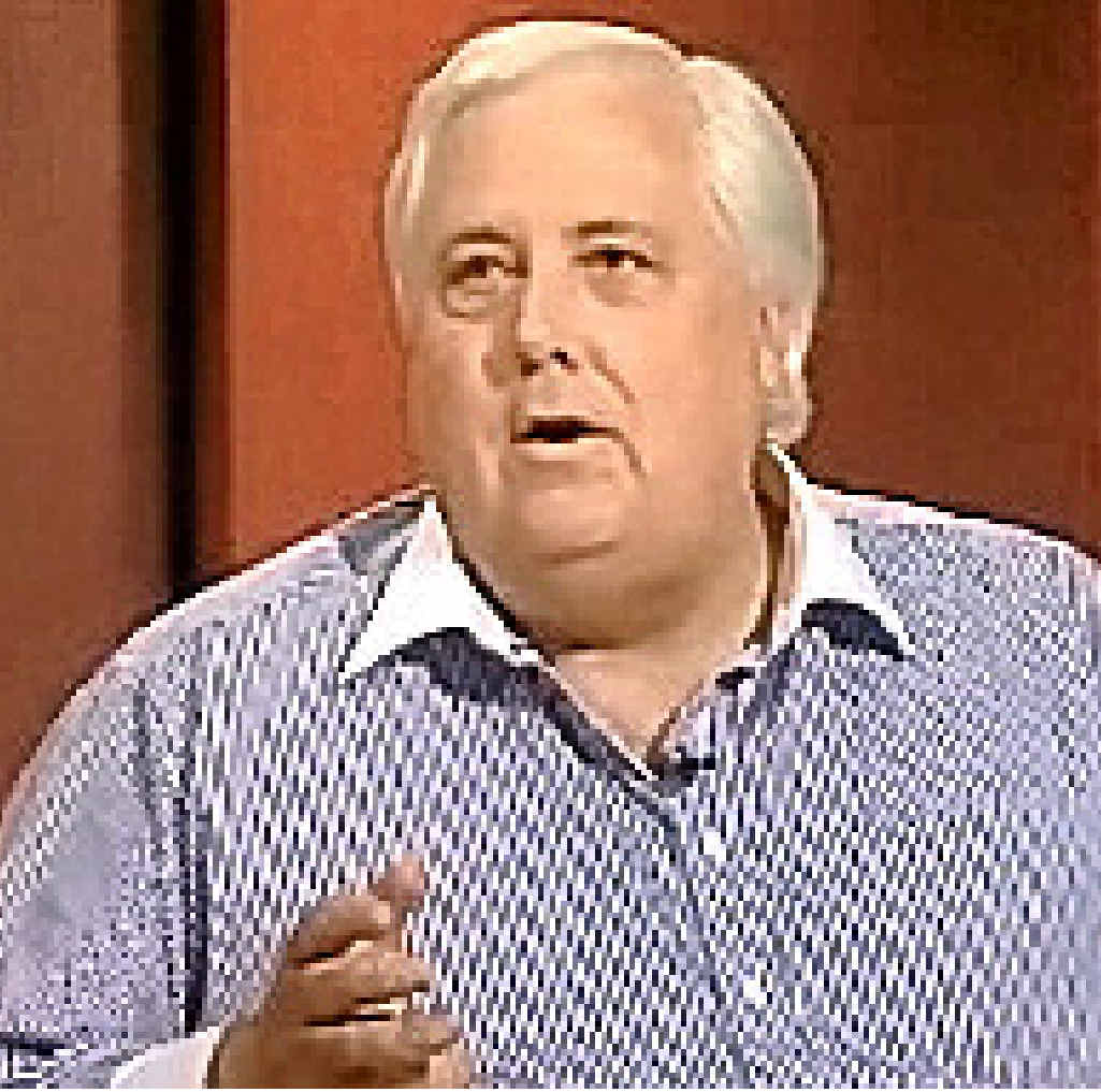 ABC SCREEN GRAB: Mr Palmer. ABC SCREEN GRAB: Mr Palmer.