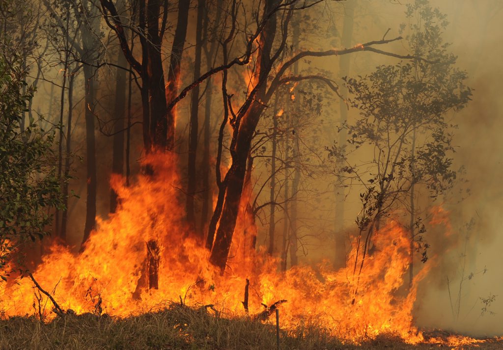 Rockhampton could face a disaster bushfire season after a spate of grassfires Rockhampton could face a disaster bushfire season after a spate of grassfires