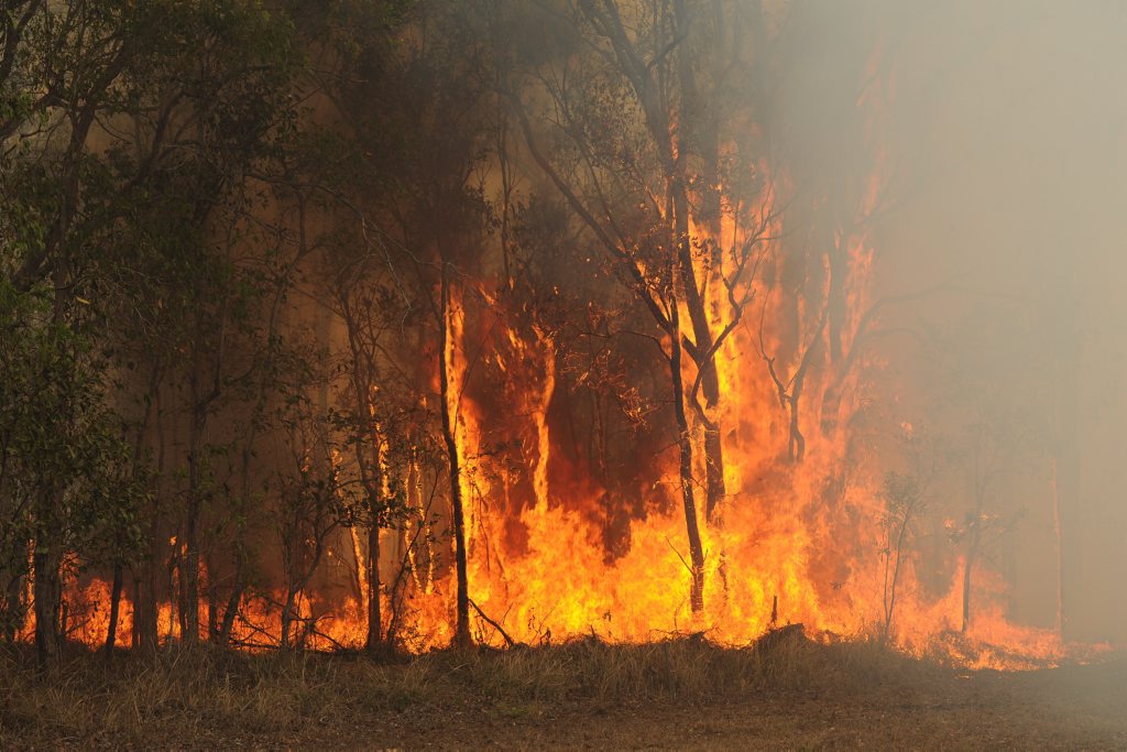 QFES crews will conduct a hazard reduction burn on behalf of the Department of Natural Resources and Mines today, weather permitting. QFES crews will conduct a hazard reduction burn on behalf of the Department of Natural Resources and Mines today, weather permitting.