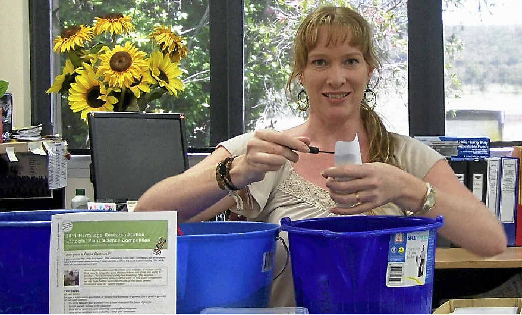 ON THE JOB: Hermitage Research Station Schools Plant Science Competition co-ordinator Kerrie Rubie loves her job and has been recognised for her work encouraging the next generation of agricultural scientists. ON THE JOB: Hermitage Research Station Schools Plant Science Competition co-ordinator Kerrie Rubie loves her job and has been recognised for her work encouraging the next generation of agricultural scientists.