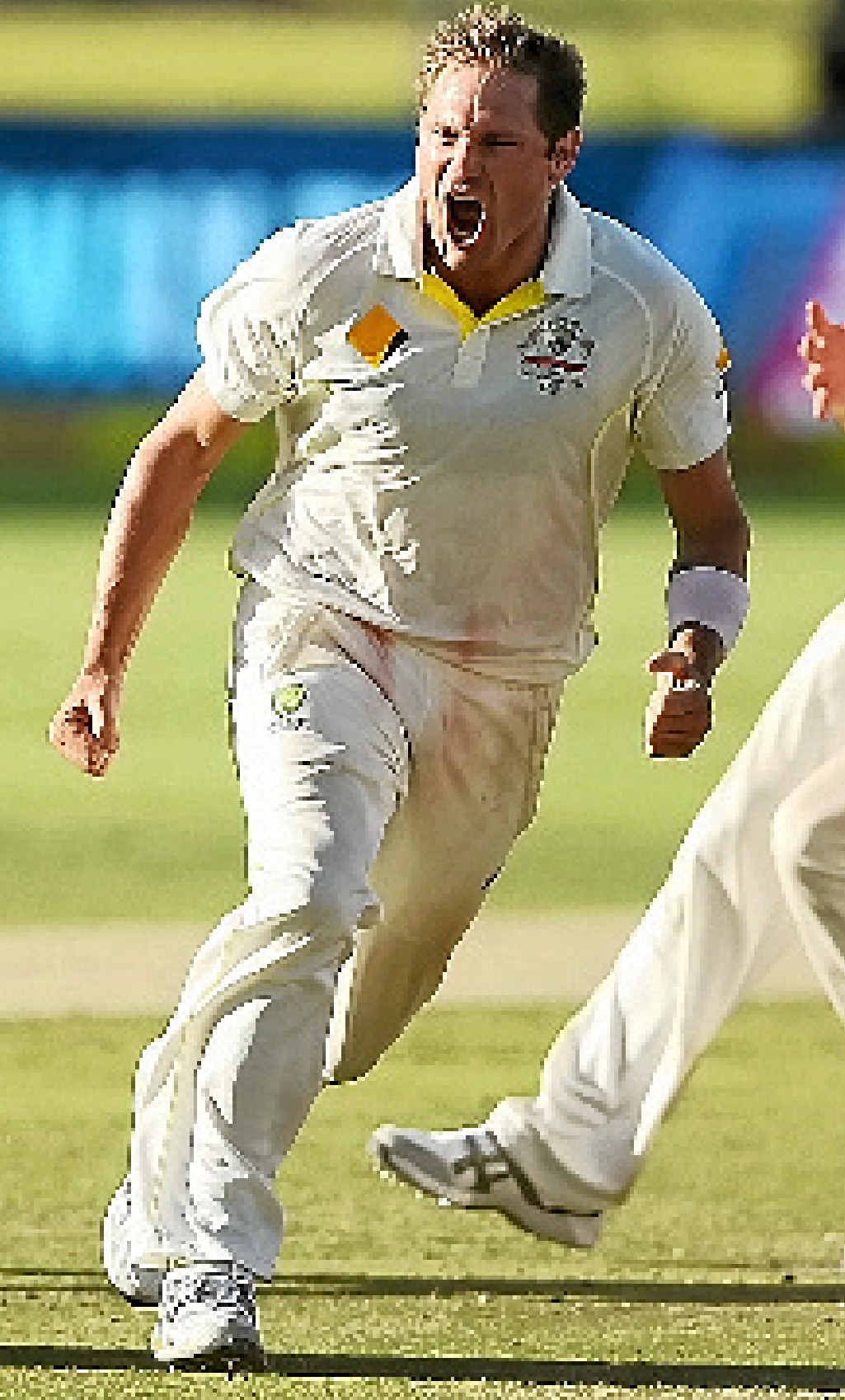 NOT FINISHED YET: Ryan Harris celebrates as he takes the last wicket of Morne Morkel to win the final Test in Cape Town. NOT FINISHED YET: Ryan Harris celebrates as he takes the last wicket of Morne Morkel to win the final Test in Cape Town.
