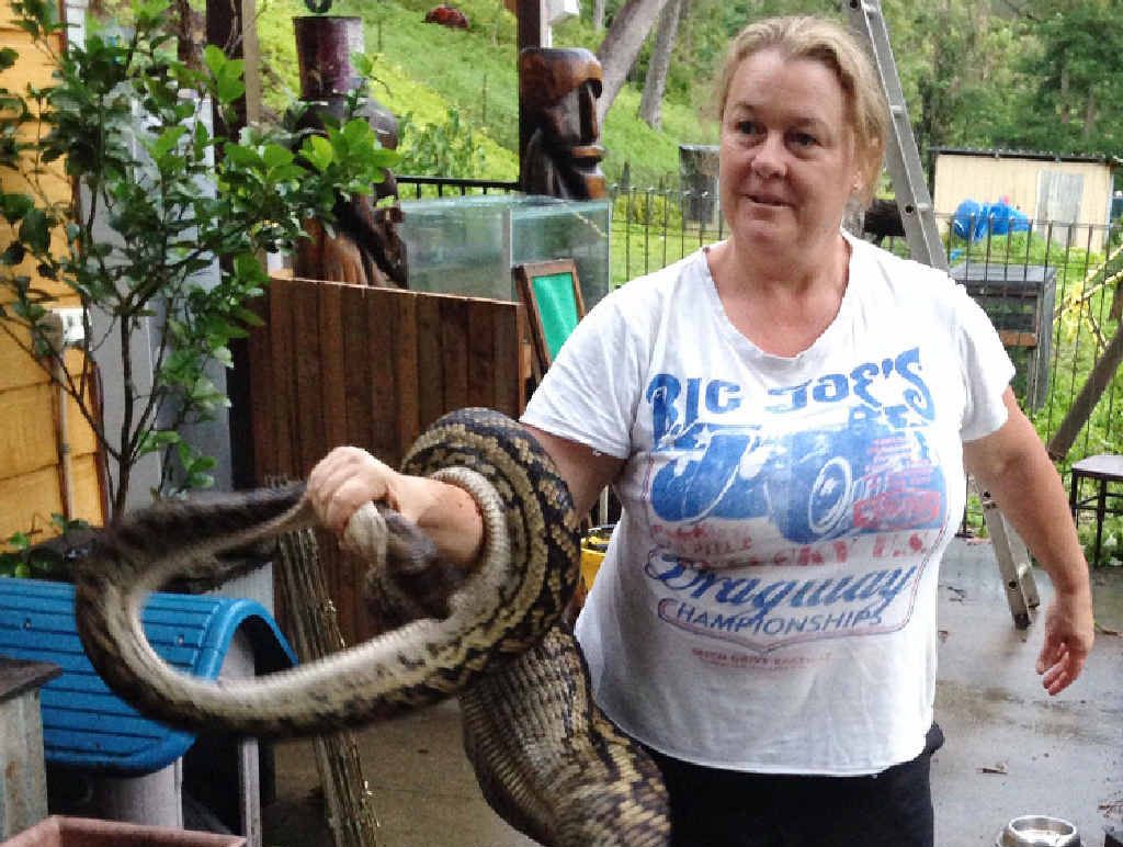 Michelle Grigg is not surprised a snake swallowed her pet dog, Walter. Michelle Grigg is not surprised a snake swallowed her pet dog, Walter.