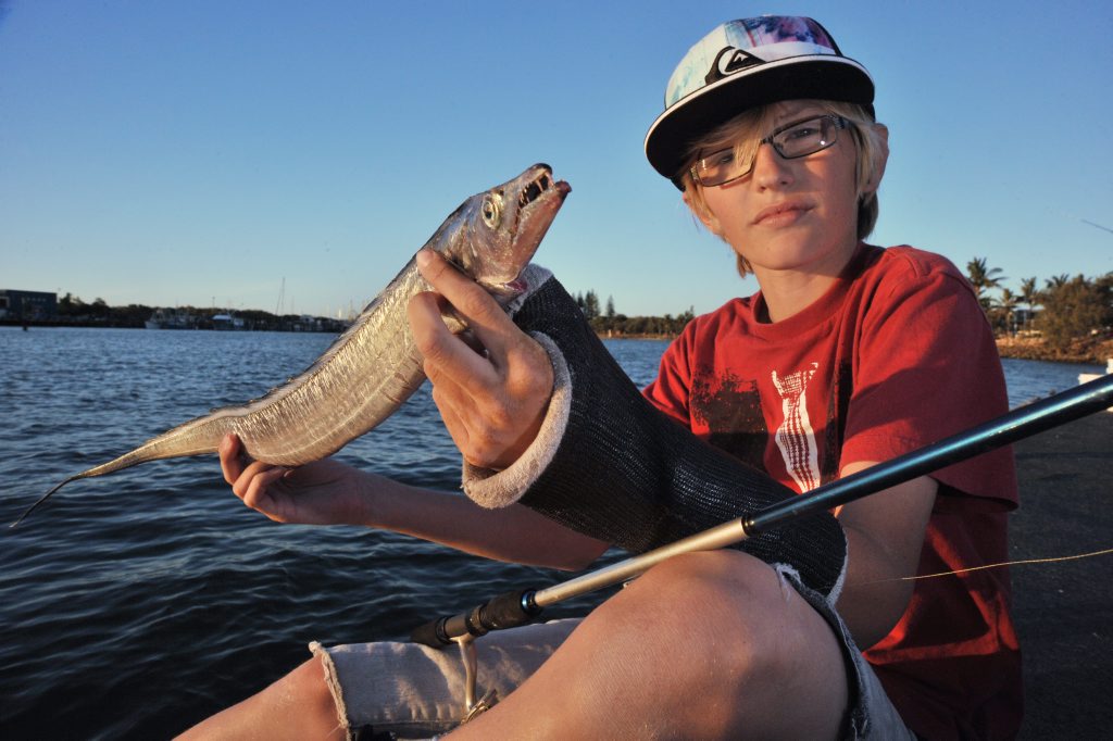 Brad Young, 13, hooked this ugly critter, a hairtail fish, at the La Balsa boat ramp at Point Cartwright. Photo: Brett Wortman / Sunshine Coast Daily Brad Young, 13, hooked this ugly critter, a hairtail fish, at the La Balsa boat ramp at Point Cartwright. Photo: Brett Wortman / Sunshine Coast Daily