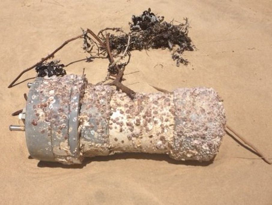 Joan Mann found this at the top end of Curtis Island during low tide. Photo Contributed Joan Mann found this at the top end of Curtis Island during low tide. Photo Contributed