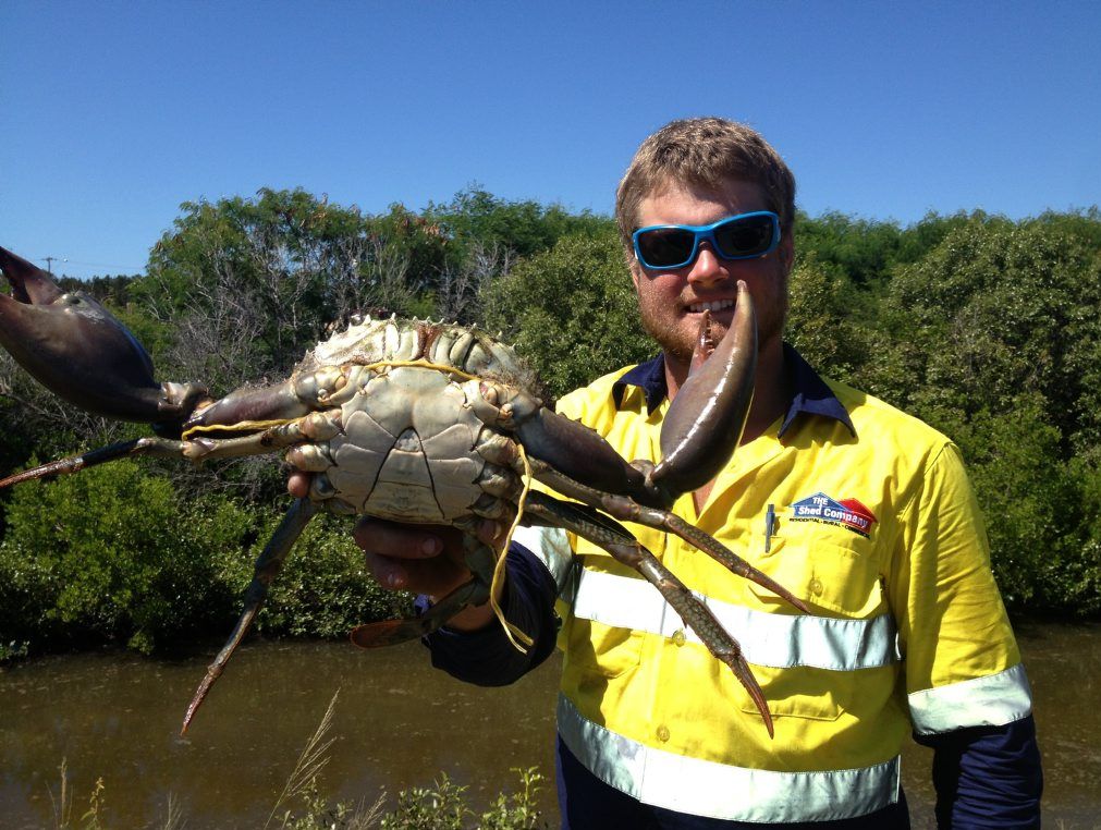 Mitch Powell with a monster 2.2kg mudcrab from the top of The Narrows. Photo Contributed Mitch Powell with a monster 2.2kg mudcrab from the top of The Narrows. Photo Contributed