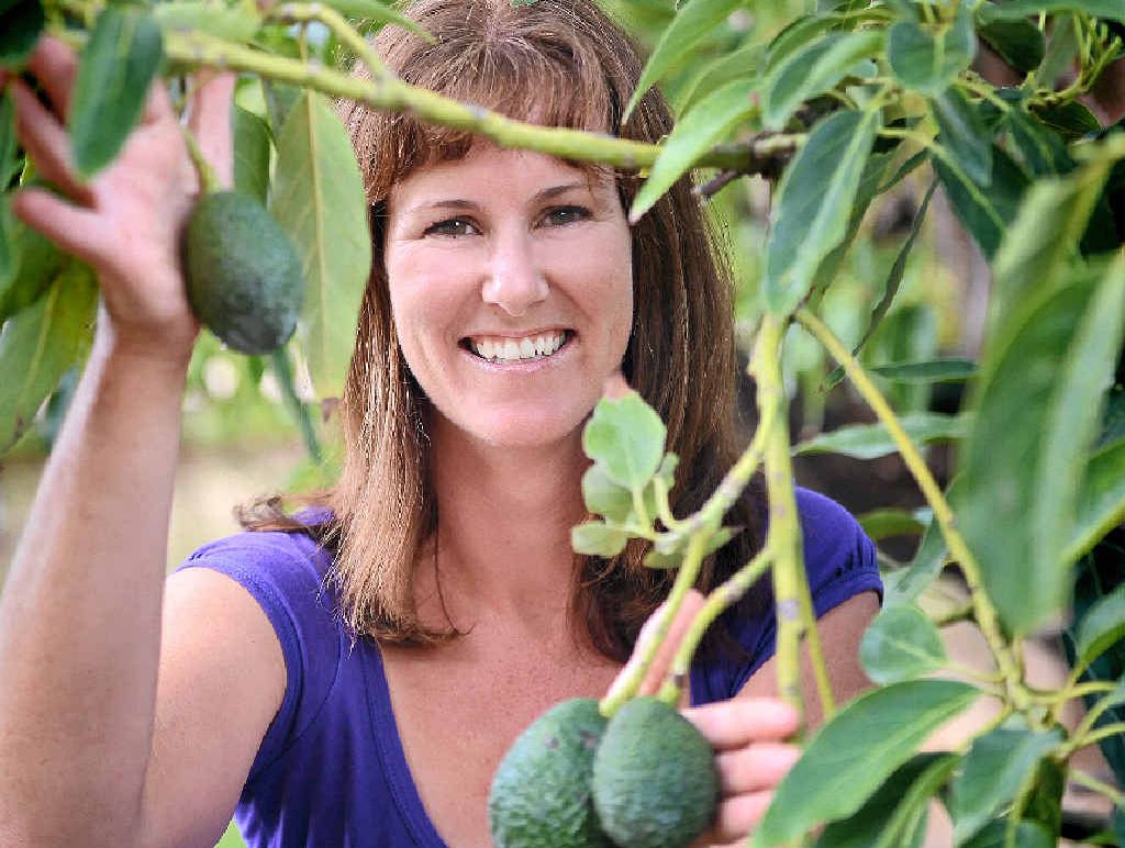 FAMILY FARM: Kate Groves has worked in many sectors of agriculture but she could never stay away from the family farm. FAMILY FARM: Kate Groves has worked in many sectors of agriculture but she could never stay away from the family farm.
