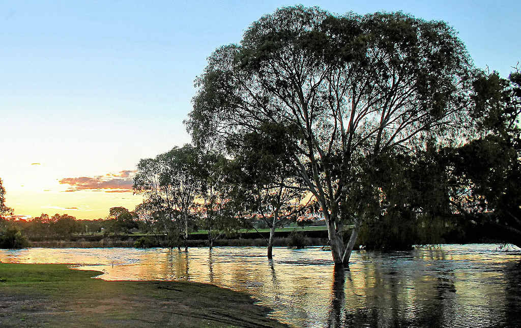 THE CONDAMINE BREAKS ITS BANKS: Nature gets a soaking at sunset on Wallace St. THE CONDAMINE BREAKS ITS BANKS: Nature gets a soaking at sunset on Wallace St.