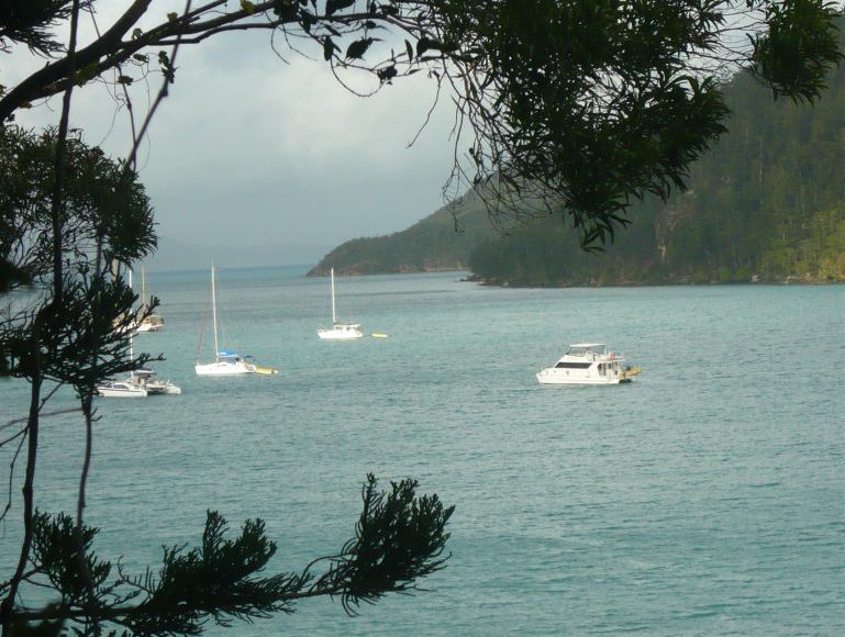 Just a few sail boats are scattered in the secluded Nara Inlet at Hook Island. Just a few sail boats are scattered in the secluded Nara Inlet at Hook Island.