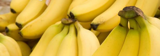 Bananas are a great snack while studying Bananas are a great snack while studying