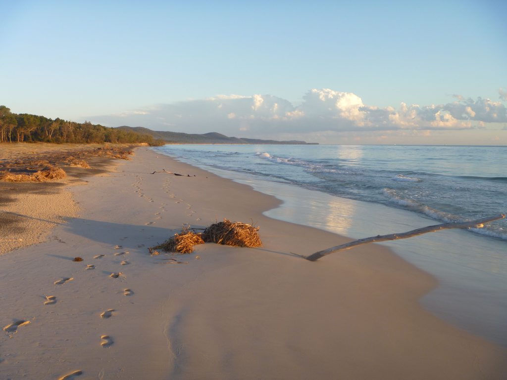 Camping trip to Moreton Island. Photo: Contributed Camping trip to Moreton Island. Photo: Contributed