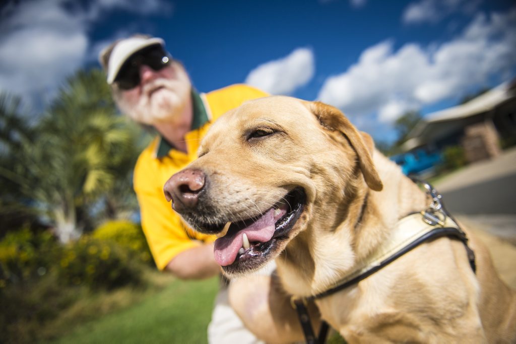 Dave Byars and his guide dog Queeny are wary of other dog owners' complacency in keeping their pets under control. Dave Byars and his guide dog Queeny are wary of other dog owners' complacency in keeping their pets under control.