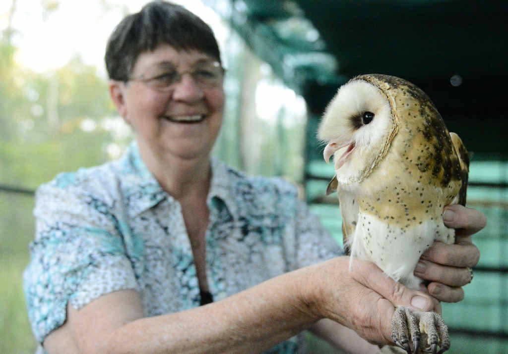HELPING HAND: WIRES carer Sandra Byrne with an endangered grass owl that has come into care. PHOTOS: DEBRAH NOVAK HELPING HAND: WIRES carer Sandra Byrne with an endangered grass owl that has come into care. PHOTOS: DEBRAH NOVAK