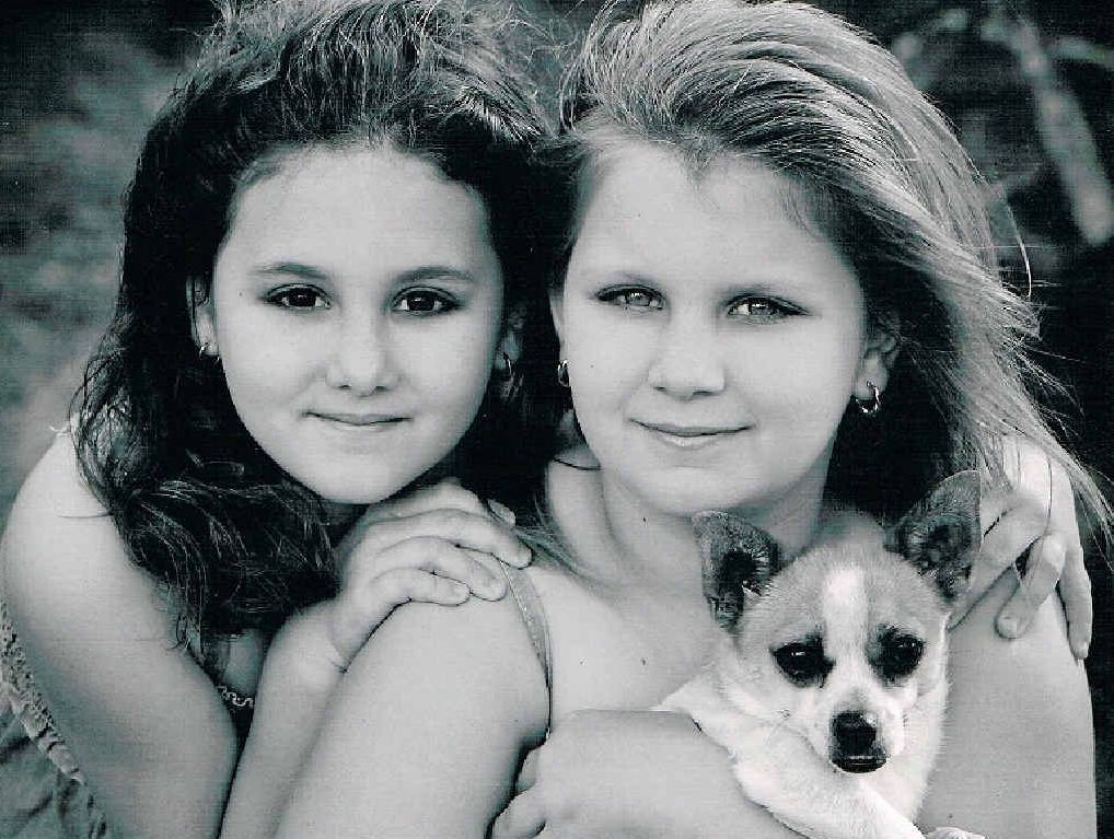 The Hamilton family's four-year-old pomeranian cross Jack Russell Camino was found bleeding from his stomach. The Hamilton family's four-year-old pomeranian cross Jack Russell Camino was found bleeding from his stomach.